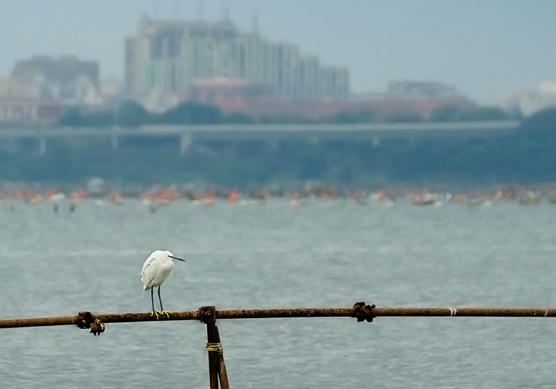 Mar Piccolo e l''oasi WWF La Vela